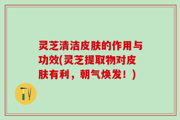灵芝清洁皮肤的作用与功效(灵芝提取物对皮肤有利，朝气焕发！)