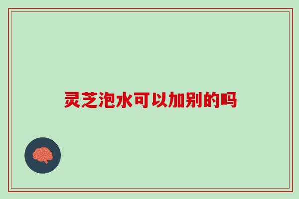 灵芝泡水可以加别的吗