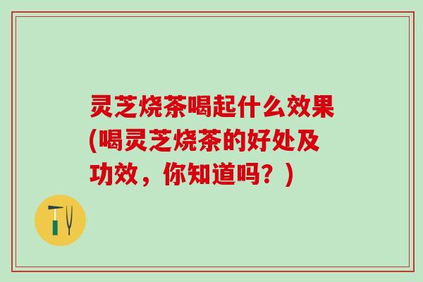 灵芝烧茶喝起什么效果(喝灵芝烧茶的好处及功效，你知道吗？)