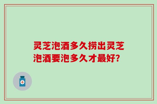灵芝泡酒多久捞出灵芝泡酒要泡多久才最好？