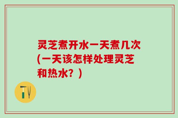 灵芝煮开水一天煮几次(一天该怎样处理灵芝和热水？)