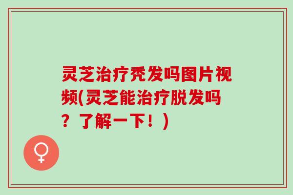 灵芝治疗秃发吗图片视频(灵芝能治疗脱发吗？了解一下！)