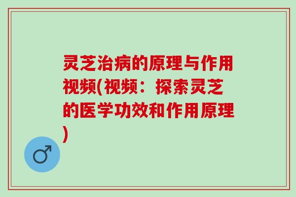 灵芝治病的原理与作用视频(视频：探索灵芝的医学功效和作用原理)