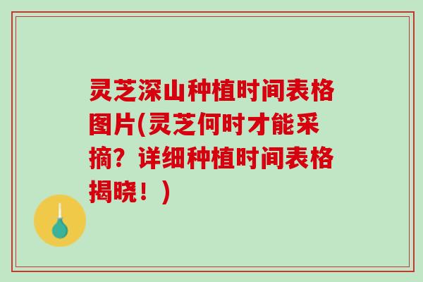 灵芝深山种植时间表格图片(灵芝何时才能采摘？详细种植时间表格揭晓！)