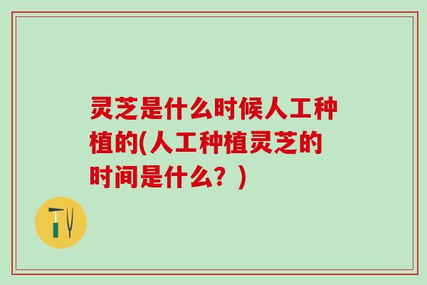 灵芝是什么时候人工种植的(人工种植灵芝的时间是什么？)