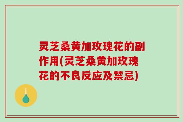 灵芝桑黄加玫瑰花的副作用(灵芝桑黄加玫瑰花的不良反应及禁忌)