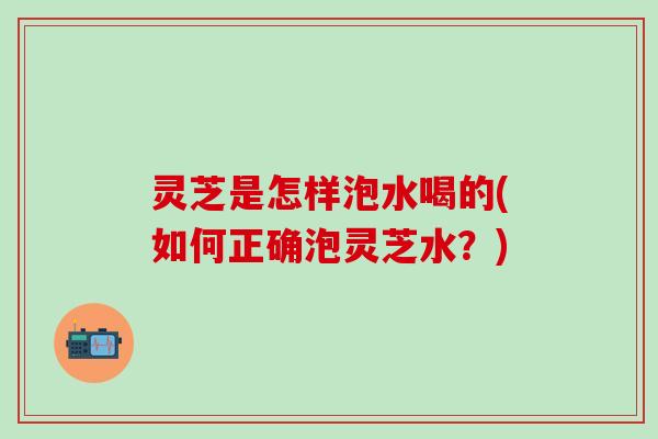 灵芝是怎样泡水喝的(如何正确泡灵芝水？)