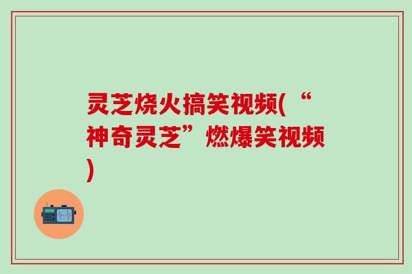 灵芝烧火搞笑视频(“神奇灵芝”燃爆笑视频)