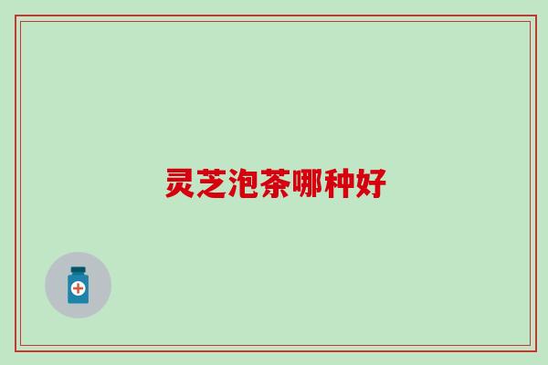 灵芝泡茶哪种好