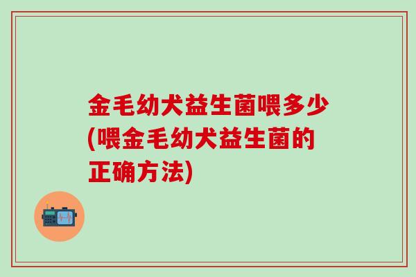 金毛幼犬益生菌喂多少(喂金毛幼犬益生菌的正确方法)