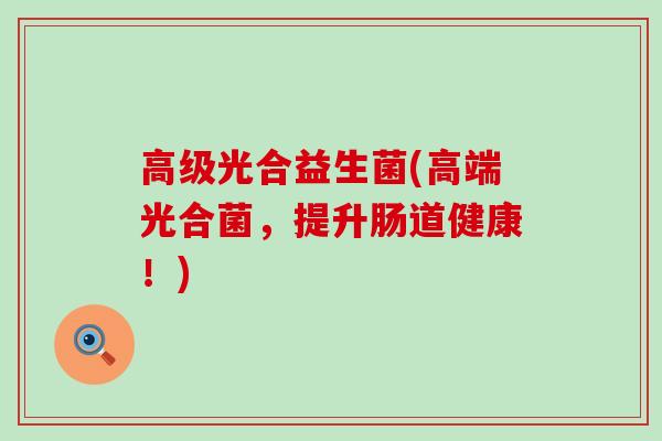 高级光合益生菌(高端光合菌，提升肠道健康！)