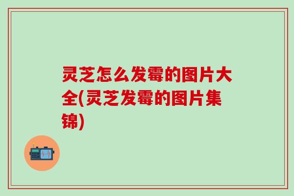 灵芝怎么发霉的图片大全(灵芝发霉的图片集锦)