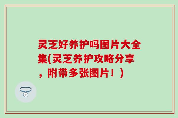 灵芝好养护吗图片大全集(灵芝养护攻略分享，附带多张图片！)