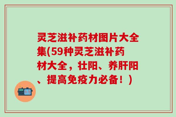 灵芝滋补药材图片大全集(59种灵芝滋补药材大全，壮阳、养肝阳、提高免疫力必备！)