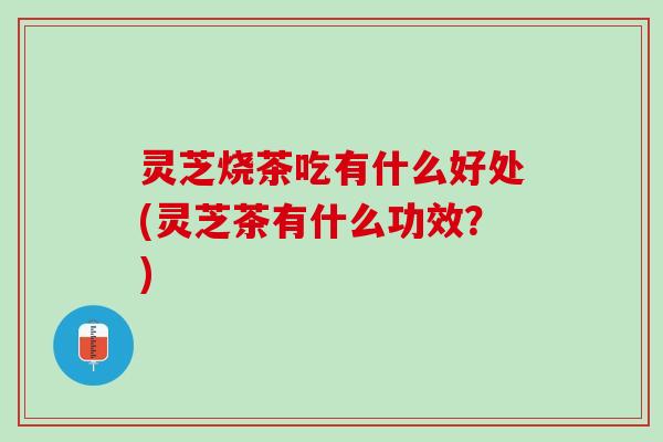 灵芝烧茶吃有什么好处(灵芝茶有什么功效？)