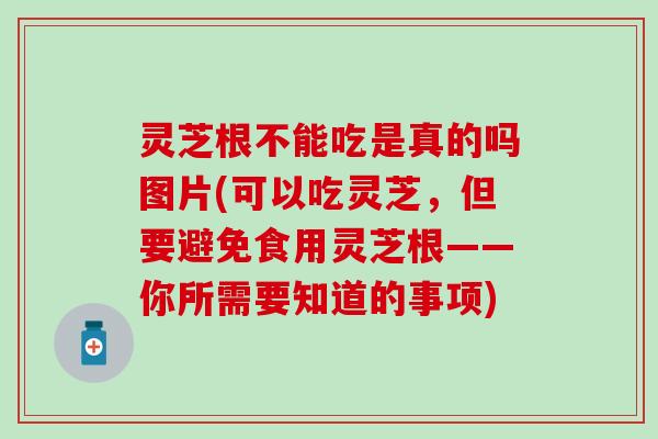 灵芝根不能吃是真的吗图片(可以吃灵芝，但要避免食用灵芝根——你所需要知道的事项)