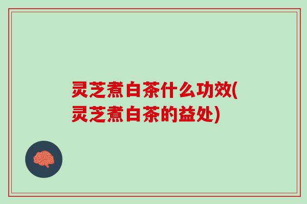 灵芝煮白茶什么功效(灵芝煮白茶的益处)