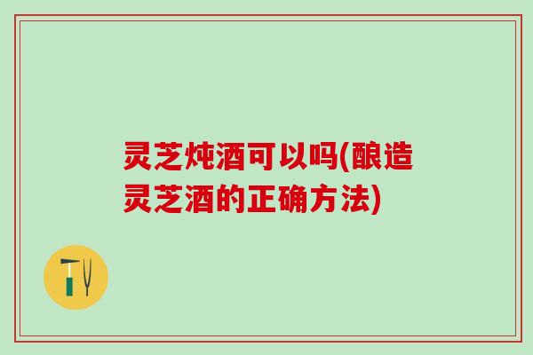 灵芝炖酒可以吗(酿造灵芝酒的正确方法)