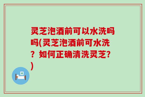 灵芝泡酒前可以水洗吗吗(灵芝泡酒前可水洗？如何正确清洗灵芝？)