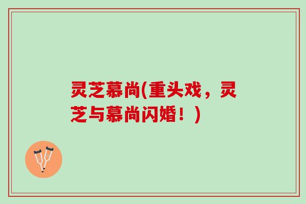 灵芝慕尚(重头戏，灵芝与慕尚闪婚！)