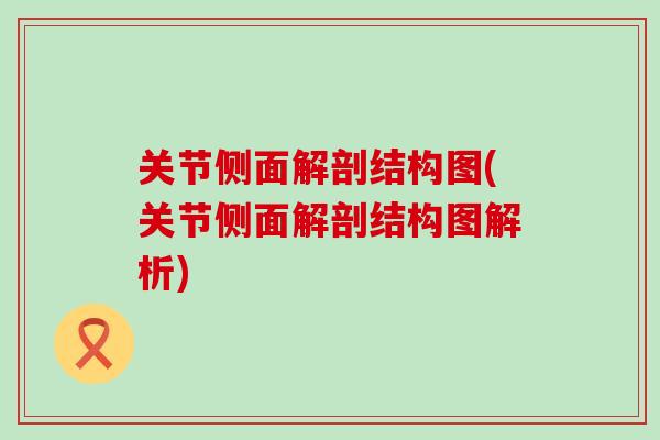 关节侧面解剖结构图(关节侧面解剖结构图解析)
