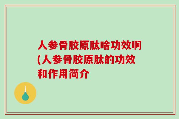 人参骨胶原肽啥功效啊(人参骨胶原肽的功效和作用简介