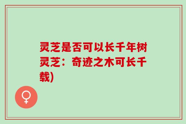 灵芝是否可以长千年树灵芝：奇迹之木可长千载)