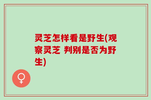 灵芝怎样看是野生(观察灵芝 判别是否为野生)