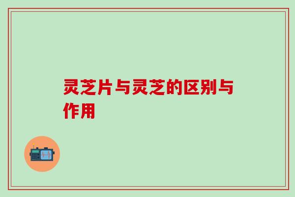 灵芝片与灵芝的区别与作用