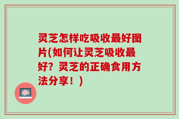 灵芝怎样吃吸收最好图片(如何让灵芝吸收最好？灵芝的正确食用方法分享！)