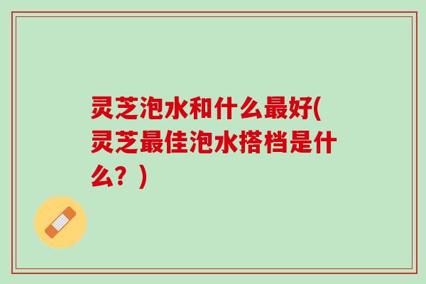 灵芝泡水和什么最好(灵芝最佳泡水搭档是什么？)