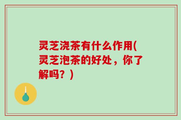 灵芝浇茶有什么作用(灵芝泡茶的好处，你了解吗？)
