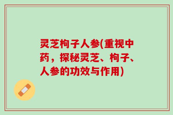 灵芝枸子人参(重视中药，探秘灵芝、枸子、人参的功效与作用)