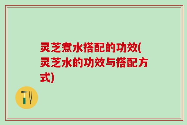 灵芝煮水搭配的功效(灵芝水的功效与搭配方式)