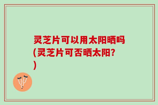 灵芝片可以用太阳晒吗(灵芝片可否晒太阳？)
