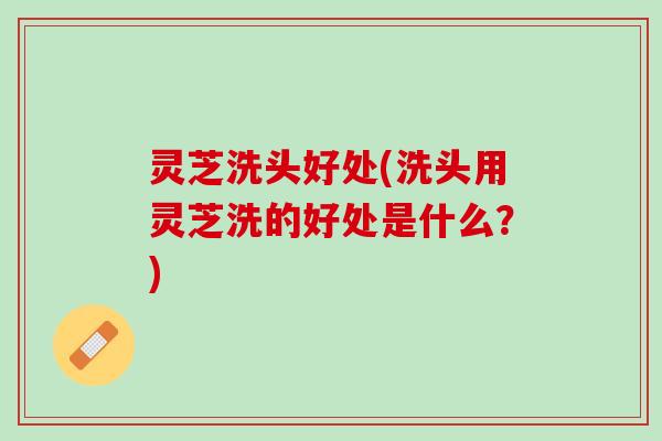 灵芝洗头好处(洗头用灵芝洗的好处是什么？)