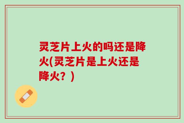 灵芝片上火的吗还是降火(灵芝片是上火还是降火？)