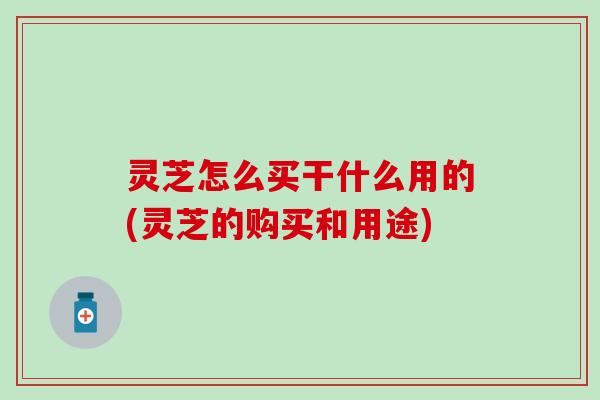 灵芝怎么买干什么用的(灵芝的购买和用途)