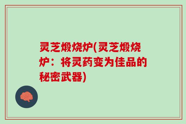 灵芝煅烧炉(灵芝煅烧炉：将灵药变为佳品的秘密武器)