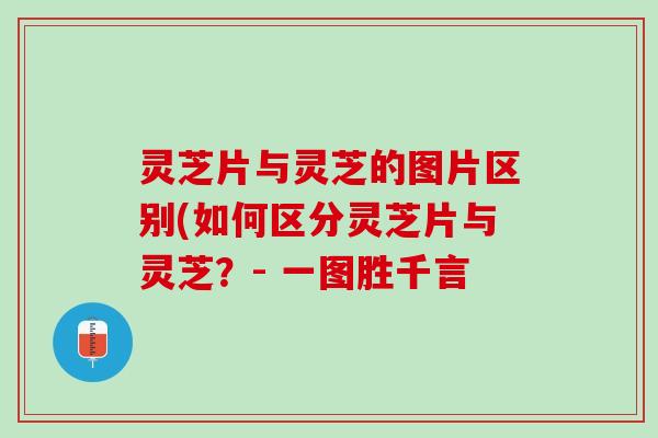 灵芝片与灵芝的图片区别(如何区分灵芝片与灵芝？- 一图胜千言