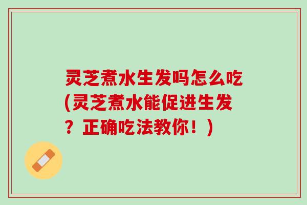 灵芝煮水生发吗怎么吃(灵芝煮水能促进生发？正确吃法教你！)