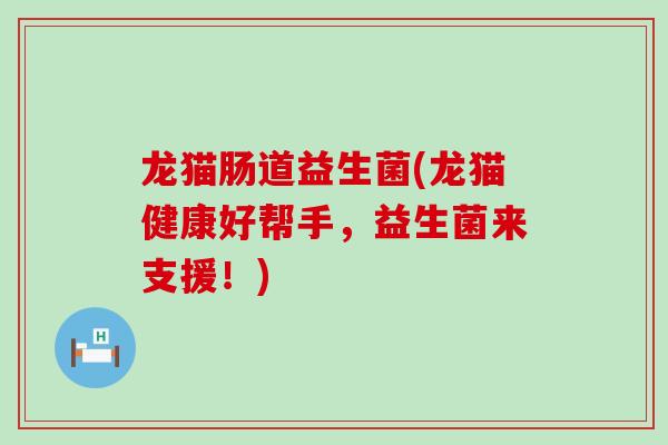 龙猫肠道益生菌(龙猫健康好帮手，益生菌来支援！)