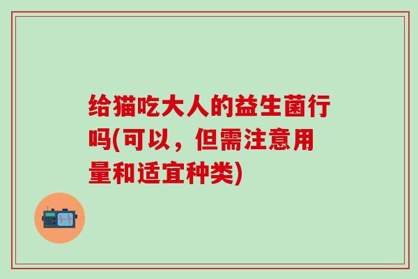 给猫吃大人的益生菌行吗(可以，但需注意用量和适宜种类)