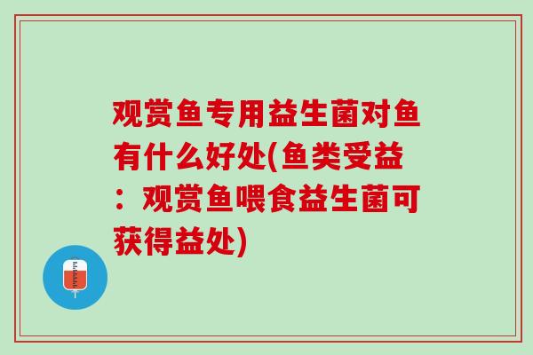 观赏鱼专用益生菌对鱼有什么好处(鱼类受益：观赏鱼喂食益生菌可获得益处)
