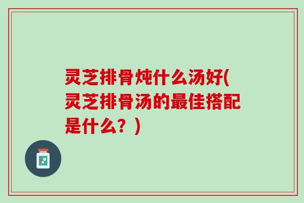 灵芝排骨炖什么汤好(灵芝排骨汤的最佳搭配是什么？)