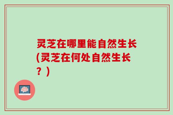 灵芝在哪里能自然生长(灵芝在何处自然生长？)
