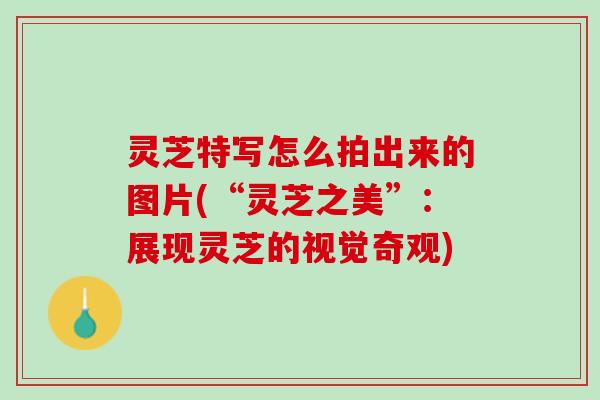 灵芝特写怎么拍出来的图片(“灵芝之美”：展现灵芝的视觉奇观)