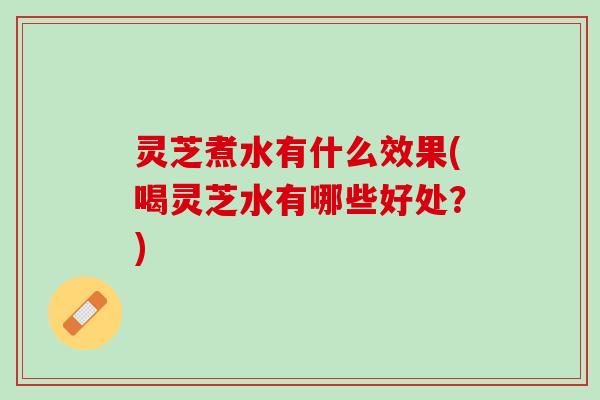 灵芝煮水有什么效果(喝灵芝水有哪些好处？)
