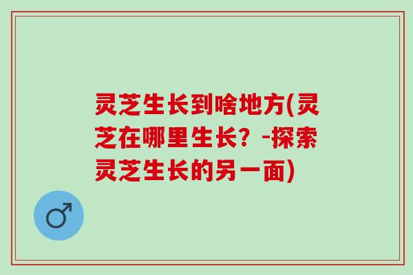 灵芝生长到啥地方(灵芝在哪里生长？-探索灵芝生长的另一面)