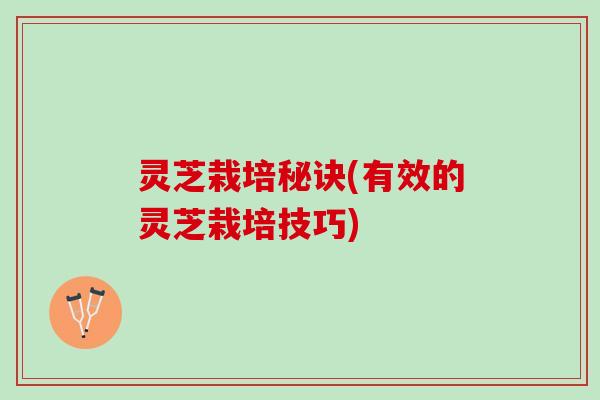 灵芝栽培秘诀(有效的灵芝栽培技巧)